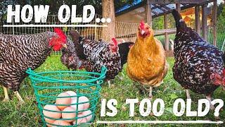 How Long Do Hens Keep Laying? | 2 Minute Quick Tip