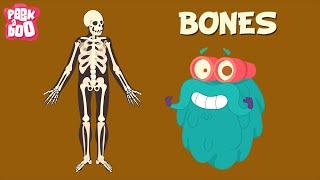 Bones | The Dr. Binocs Show | Learn Videos For Kids