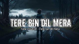 Tere bin dil mera | new song Hindi | track title | tone creation