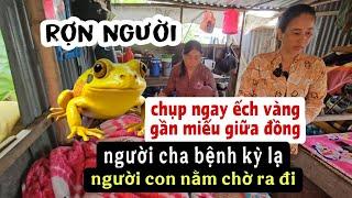 Ớn óc cha chụp ếch vàng gặp bệnh lạ còn người con nằm chờ ngày ra đi