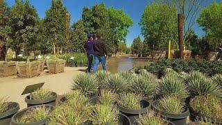 Moon Valley Nurseries - Las Vegas, Nevada