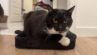 "This bag is mine"