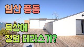 이게 다 우리 집만의 공간이라고? 초대형 옥상 테라스 정원 일산 풍동 복층빌라 리뷰 (korean house review)