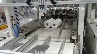 multiple toilet paper rolls packing machine in Korea