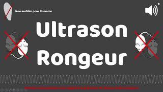 Puissant ultrason contre pour rongeur, rats, souris 1 HEURE