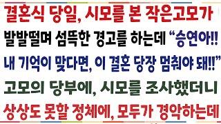 (반전신청사연)결혼식 당일 시모를 본 작은고모가 자꾸 이상한 말을 하는데 "승연아 내 기억이 맞다,면 이결혼 당장 멈춰야 돼"고모의 경고에 시모를[신청사연][사이다썰][사연라디오]