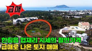 제주도 토지매매, 한림읍 협재리 시시의 절반 가격, 급매로 나온 토지매매, 제주도부동산, 제주도주택, 제주도타운하우