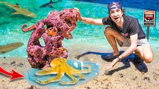 EXOTIC SEA CREATURES Found Under BEACH ROCKS!