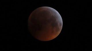 LUNAR ECLIPSE - FULL ECLIPSE MAY 26 2021 - GRIFFITH OBSERVATORY