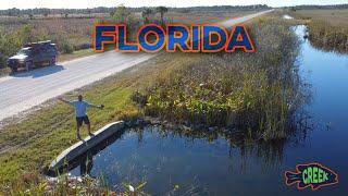 Ditch Fishing and Exploring Roadside Swamps