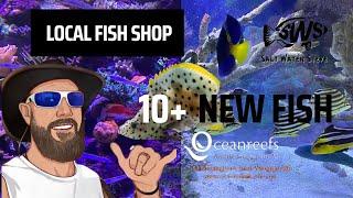 Local Fish Store : Buying New Fish for my Fowlr in 2022