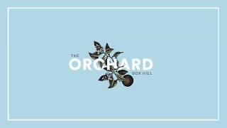 HOME, SWEET HOME --- Split-level Design Offering Great Open-space Living @The Orchard, Box Hill NSW