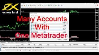 Several Different accounts  and only One Metatrader