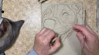Watch as Sondra Alexander sculpts “Ellis” a Pit Bull Terrier | AlexanderArt.net