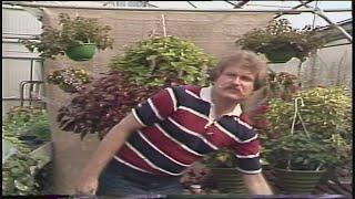 A young garden expert Craig Hignight brings up some timeless tips in 1979