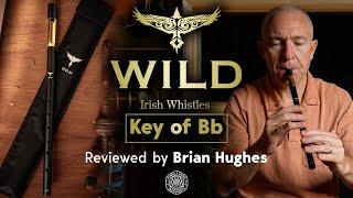 McNeela Wild Irish Whistle (Bb) reviewed by Brian Hughes