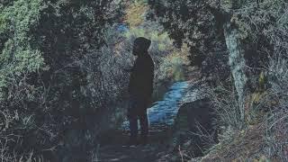 lost in evergreen (FULL ALBUM)