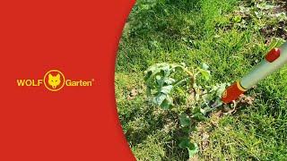 At home with WOLF-Garten | Thistle extractor (IW-M)