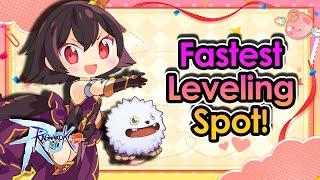 [ROMC] REVISED! Level Up Faster With This New Leveling Spot (Level 1 to 100) For OBT | King Spade