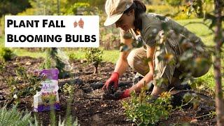 Planting Fall Blooming Bulbs || Flock Finger Lakes