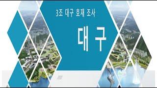 대구광역시 개발호재 정보분석