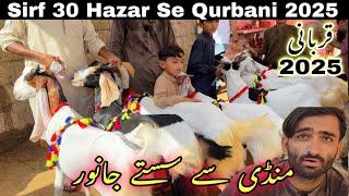 Karachi Ki Sab Se Sasti Qurbani 2025 Ki Mandi  Soda He Soda || Awam Ka Rash || Bakra Mandi 2025