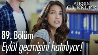 Eylül geçmişini hatırlıyor! - Kırgın Çiçekler 89. Bölüm