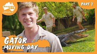 Robert Relocates Alligators | Australia Zoo Life