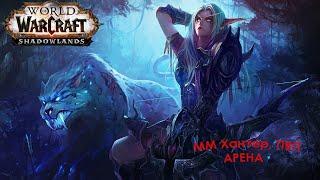 Shadowlands | MM Hunter, ММ Хант , АРЕНА (#1), World Of Warcraft