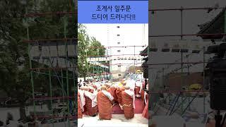 조계사 일주문 앞 시야 확 트였다!! #40년의염원