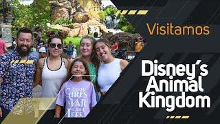 Visitamos | Disney's Animal Kingdom