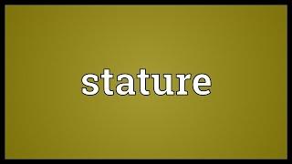 Stature Meaning