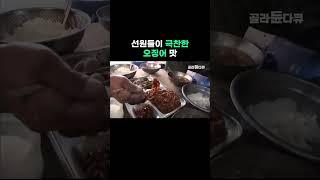 선원들이 극찬한 오징어 맛 #골라듄다큐 #shorts