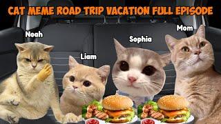 CAT MEMES: Road Trip Vacation Full Episode