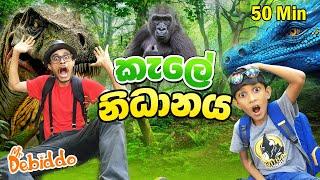 කැලේ නිධානය| Kids Adventure  | Learning & Cooking in the Jungle |  Mr Debiddo Kids| Wild Animal