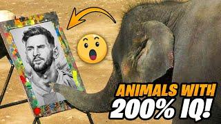 13 Mind Blowing Examples of Animal Intelligence You Need to See!