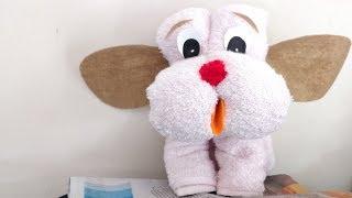 How To Do Towel Animals | Step By Step Towel Folding Guides