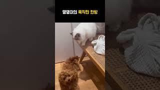 묵직한 한방