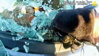 How To Get Your Window Busted Out By A No-Nonsense Ohio Cop