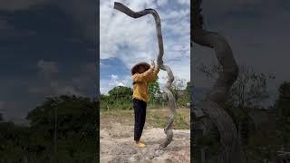 Cây treo đèn gỗ hương tinh lõi Sđt 0379893927