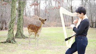 Girl Attracts Deer While Playing Harp in the Woods