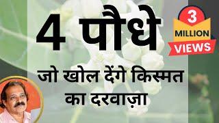 “Importance of Plants in Vastu Shastra” by Gold Medalist Vastu Expert ‘Ummed Dugar Jain' #VastuPlant