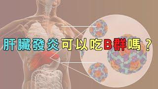 肝臟發炎可以吃B群嗎？｜好心肝˙好健康