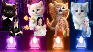 Cute Cats Dance | Wednesday Bloody Mary | Jisoo Flower | Waka Waka Shakira | Enemy Elsa | Cats Songs