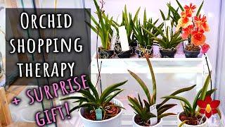 Unboxing Mini Orchids with a surprise!