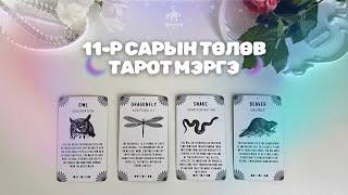 2024.11-р сарын төлөв байдал тарот мэргэ | Ерөнхий, ажил карьер, харилцаа