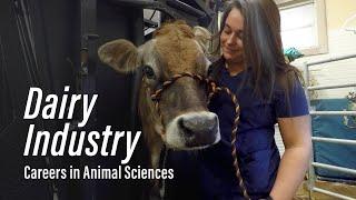 Dairy Industry l Careers in Animal Sciences