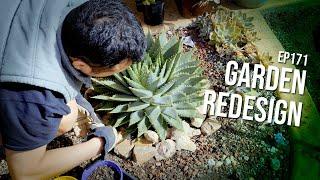 #171 Refreshing my succulent garden bed