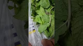 vegetables preservation #tamil #food #tamilviralvideos #tamilviralshorts #tamilnews #tamilnewslive