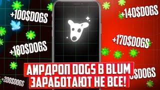 АИРДРОП DOGS В BLUM 21 ОКТЯБРЯ, НО ЗАРАБОТАЮТ НЕ ВСЕ! КАК ПОЛУЧИТЬ AIRDROP?